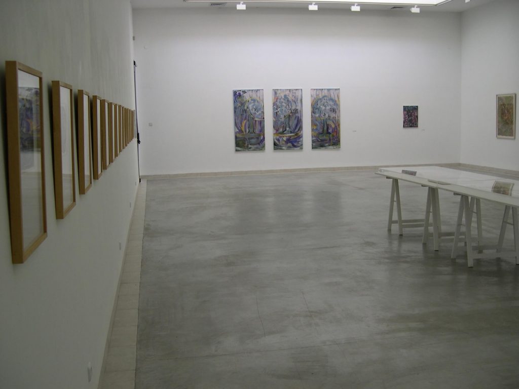 נופי הנפש של פיני צינוביץ - חלל התערוכה